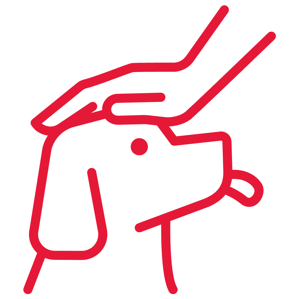 pet vaccination icon