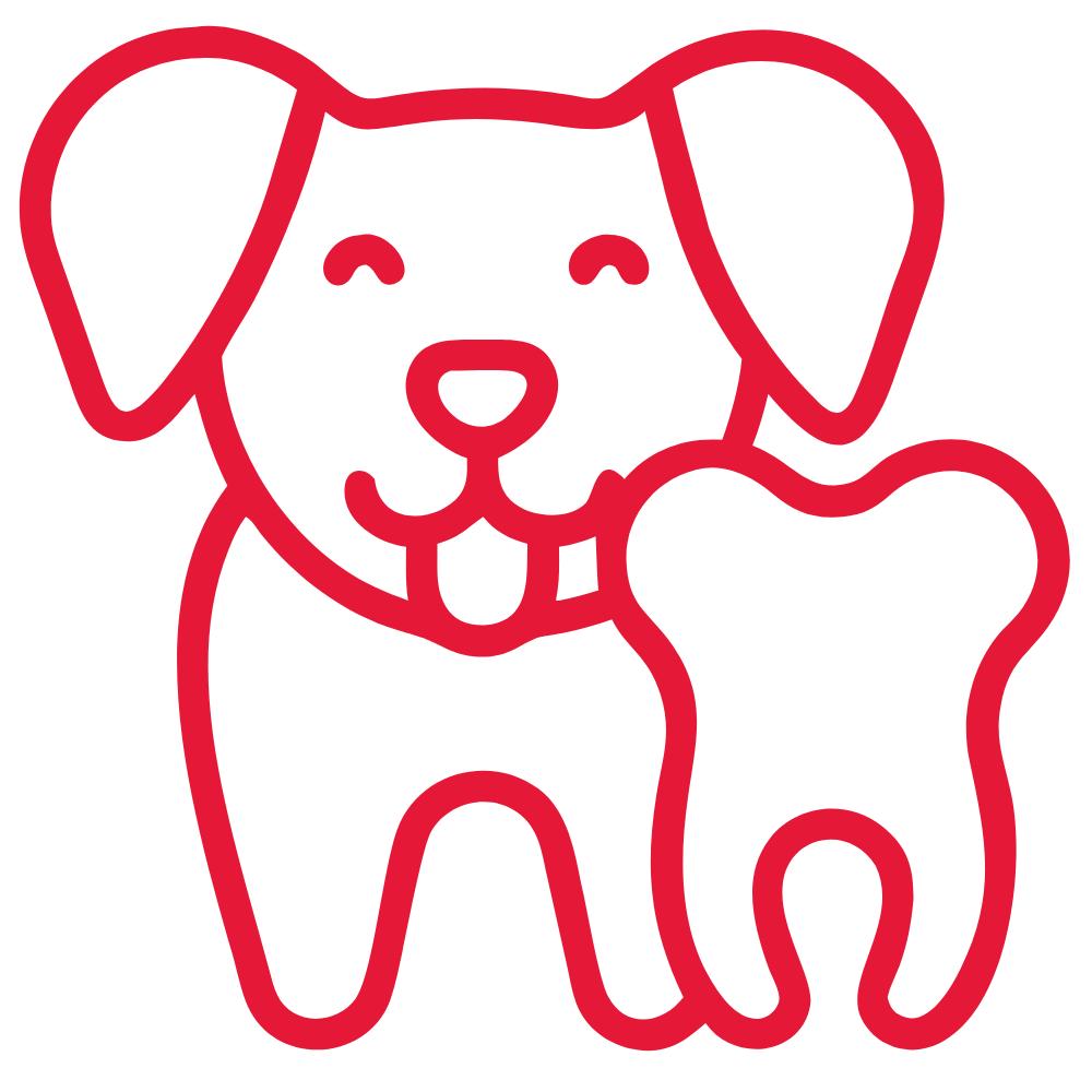 pet grooming icon