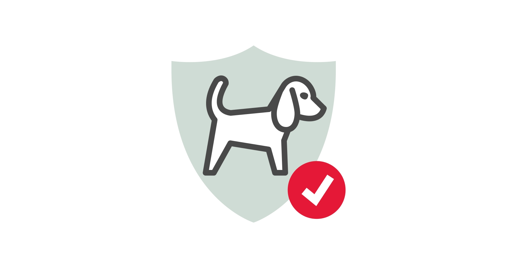 pet insurance