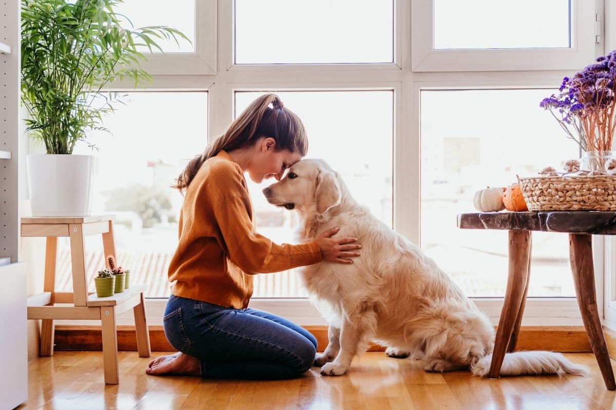 A girl hugging a dog