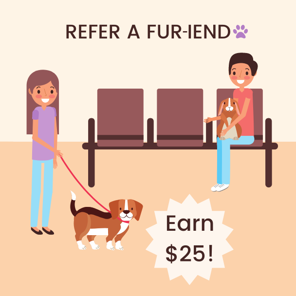 Refer-a-Fur-iend-Graphic Refer-a-Fur-iend-Graphic