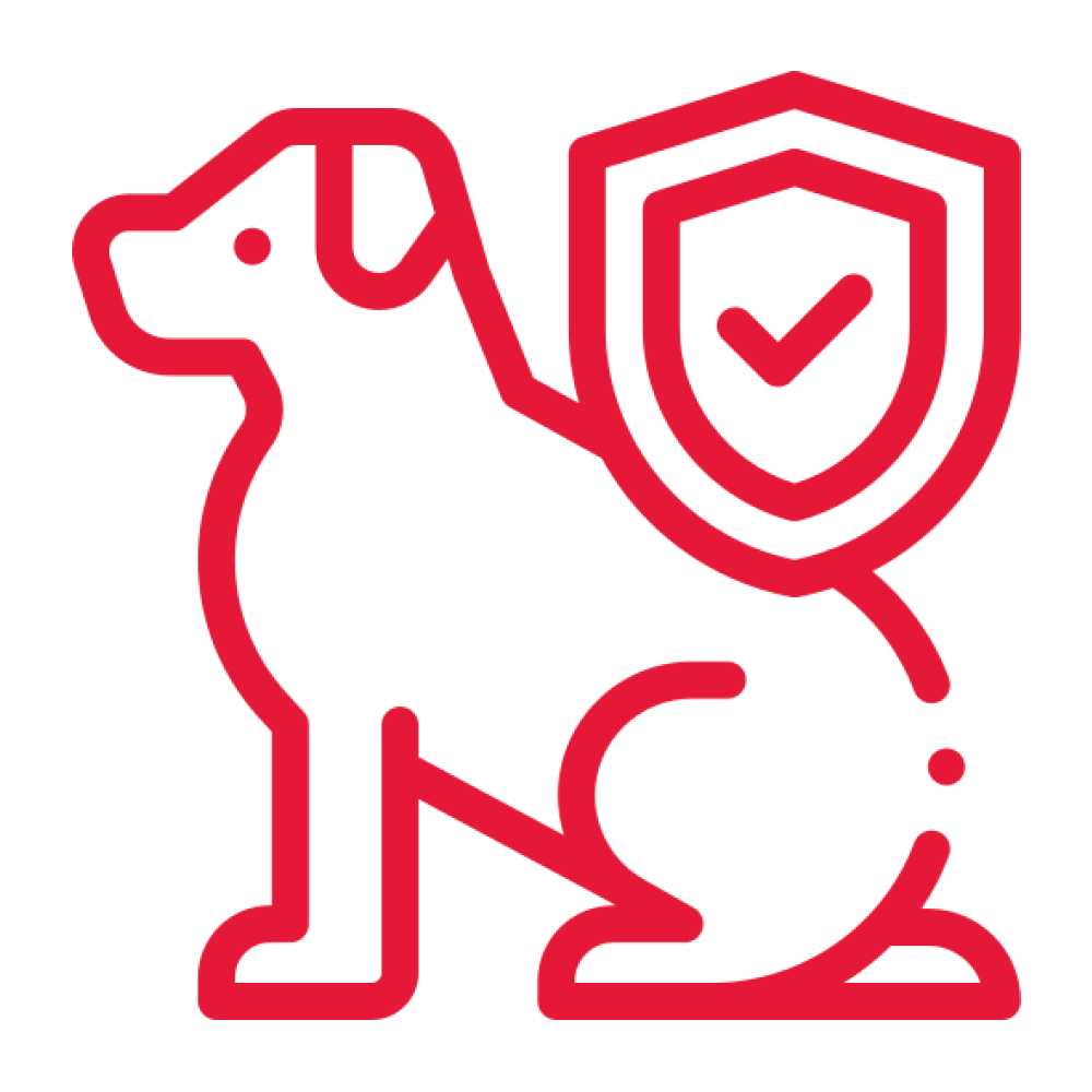 pet insurance