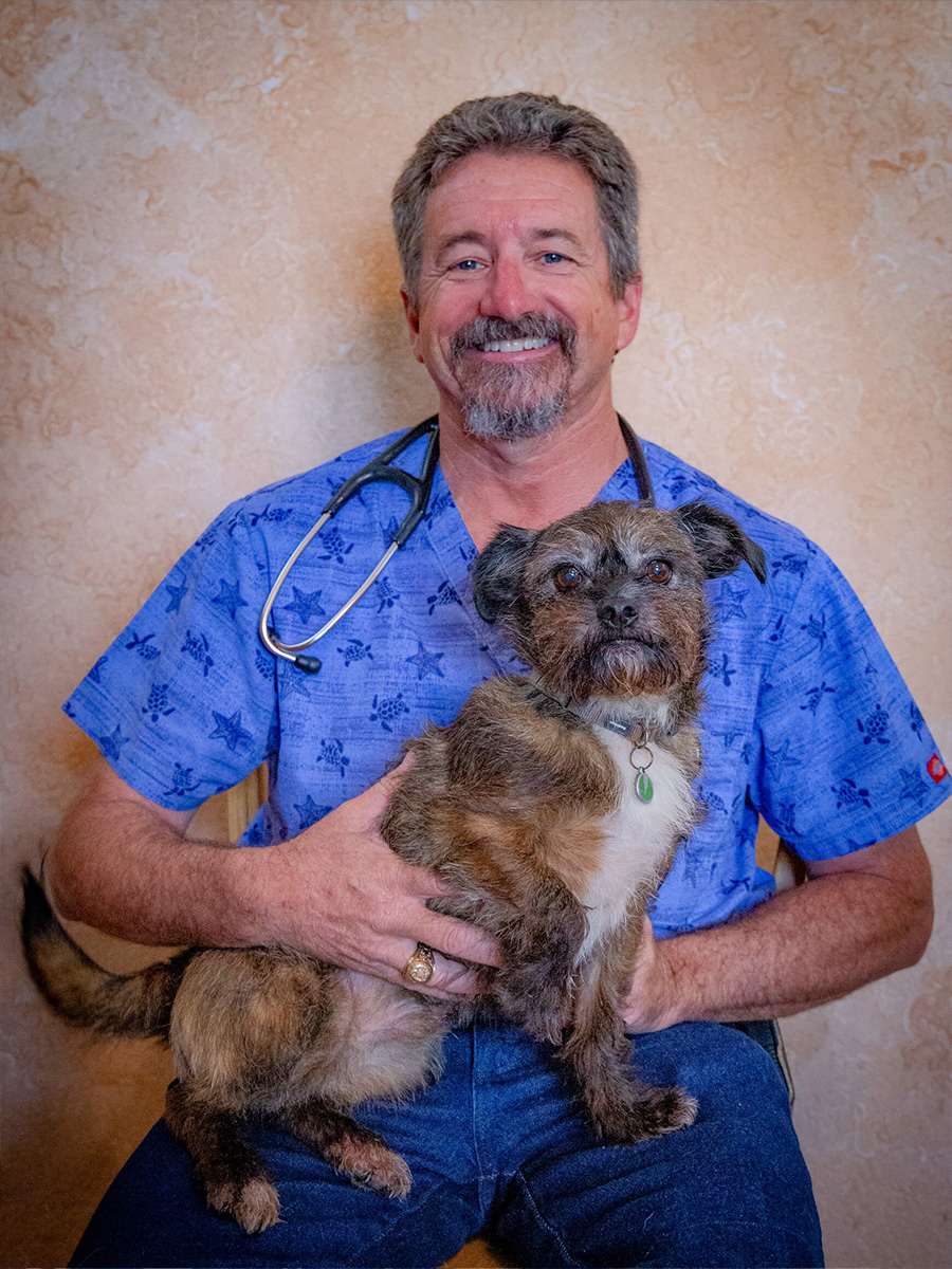 Dr-Paul-Ingram Dr. Paul Ingram