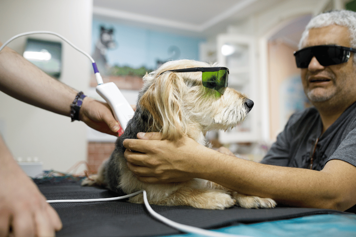 Book a Cold Laser Therapy Consultation Today!