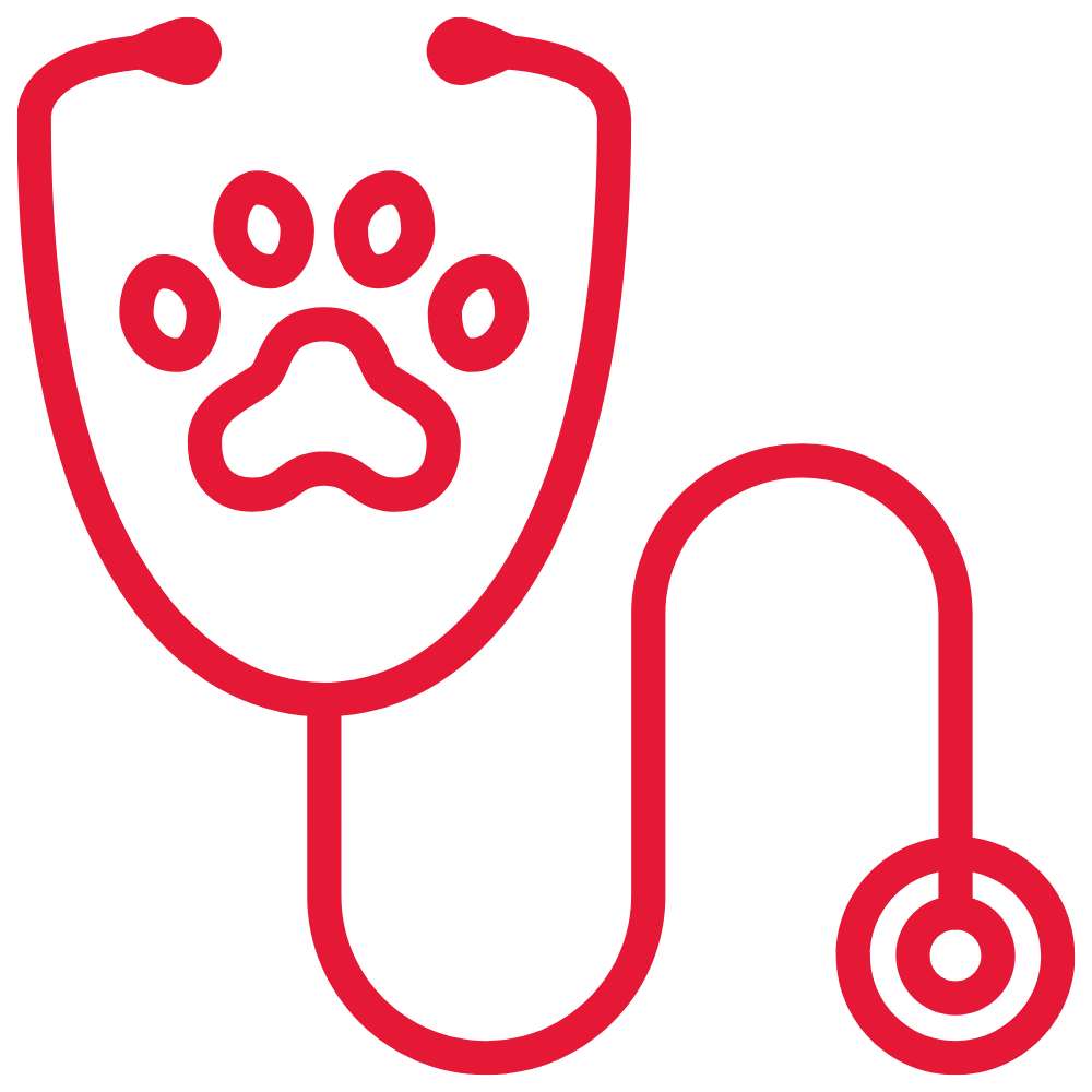 stethoscope paw icon