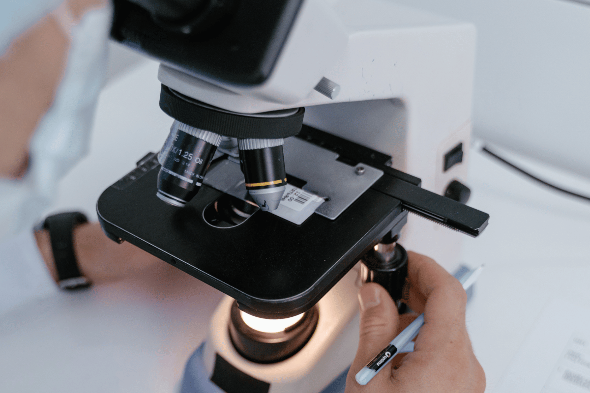 Why Pet Imaging & Diagnostics Matter