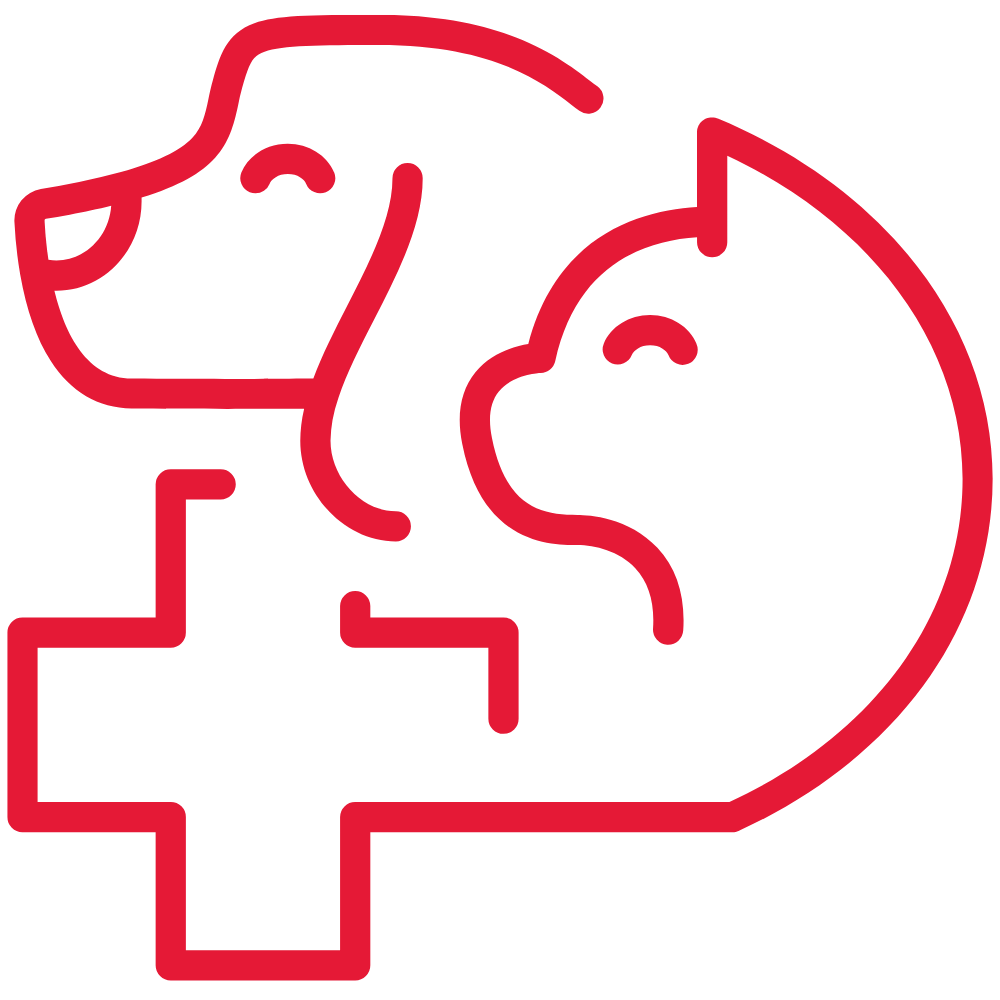 emergency urgent care icon