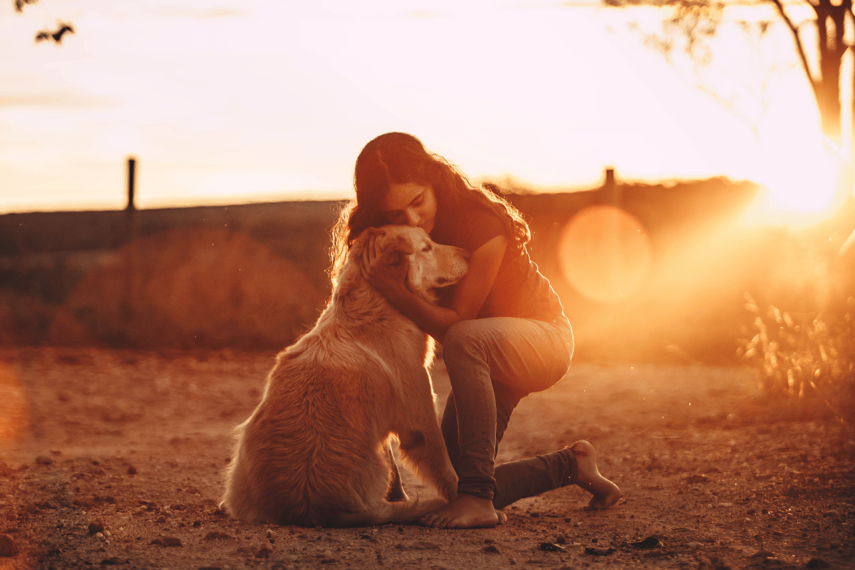 What Is Pet Euthanasia