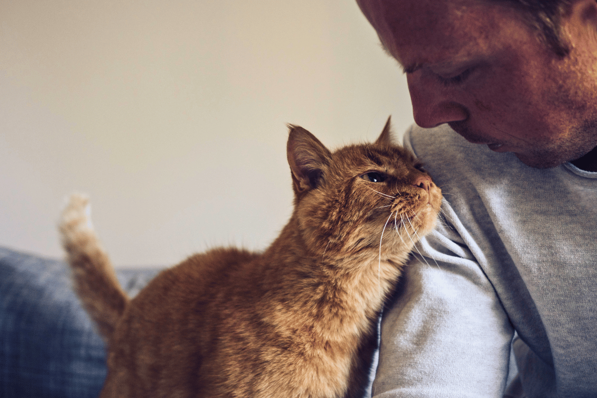 What Is Pet Euthanasia