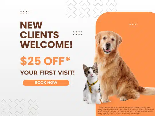 25 off NCP Graphics 25 off NCP Graphics